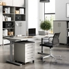 Germania v schedario con ruote gw-profi 2.0 42x49x61cm grigio e grafite Arredamento casa cucina Casa & cucina