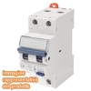 Gewiss gw95809 int.magn.dif.c.2p c25 6ka air-0.03 GW95809 Materiale elettrico Brico giardino animali