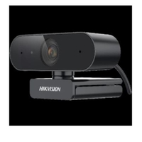 Hikvision ds-u02 webcam 2mp + microfono Sistemi per audio/videoconferenza Tv - video - fotografia