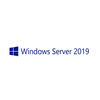 Hp hewlett packard sw ms hpe win ser 2019 5ut cal emea ltu Software Informatica