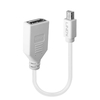 Lindy 41021 Cavi - accessori vari Informatica