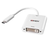 Lindy converter usb tipoC a dvi Monitor Informatica