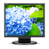 Nec e172m 17in lcd w/led backlight 1280x1024 hdmi vga 50mm adjust Monitor Informatica