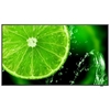 Nec e558 55in led lfd uhd 350cd/qm Monitor digital signage Tv - video - fotografia