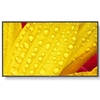 Nec me551 Monitor digital signage Tv - video - fotografia