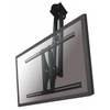 Newstar plasma-c100black neomounts by flat screen ceiling mount PLASMA-C100BLACK Tv - accessori Tv - video - fotografia