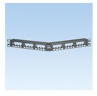 Panduit pannello 1u angolato per 24 rj45u nero PANNELLO 1U ANGOLATO PER 24 RJ45U NERO Materiale elettrico Brico giardino animali