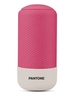 Pantone pantone - bluetooth speaker 5w Pantone - Speaker Bluetooth Speaker Audio - hi fi