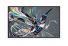 Philips 55bdl3550q/00 55BDL3550Q Monitor digital signage Tv - video - fotografia