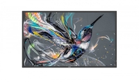 Philips 65bdl3550q/00 luminosit 400 65 direct led 4k display,  powered by android,  html5 browser,  play from internal memory,  cmnd (control & create),  cmnd&deploy,  basic failover,  lan Monitor digital signage Tv - video - fotografia