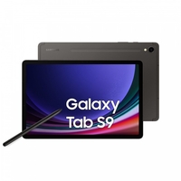 Samsung samsung galaxy tab s9 wifi 12gb 256gb graphite Tablet Informatica