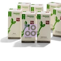 ACERO MACERATO GLICERICO 100 ML