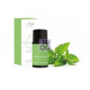 ARYA HD SINERGIA OLIO RINFORZANTE MENTA