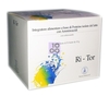 Astrum Ritor 310 G