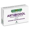 BODY SPRING ARTHRODOL 60 COMPRESSE