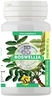 BOSWELLIA 100 CAPSULE
