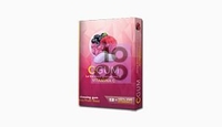 C GUM GUSTO FRUTTI ROSSI 9 PEZZI