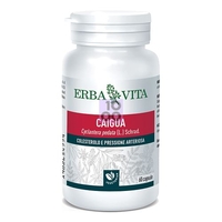 Caigua 60 Capsule 400 Mg
