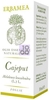 Cajeput 10 Ml
