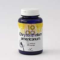 Chrysantellum Americanum 60 Capsule