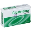Cicatridina Supposte 10 Pezzi