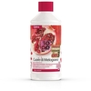 CUORE DI MELOGRANO SUCCO CON OXY3 1 LITRO