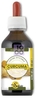 CURCUMA TINTURA OFFICINALE 100 ML