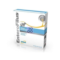 Enterofilus 12 X 10 Ml