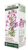 Epilobio Estratto Integrale 200 Ml