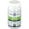 Equiseto 125 Tavolette