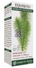 Equiseto Estratto Integrale 200 Ml