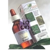 Equiseto Fronde Ste Tintura Madre 100 Ml