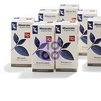 EQUISETO TINTURA MADRE 50 ML