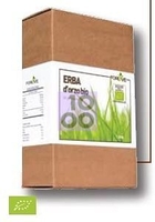 Erba D