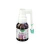 Esi Echinaid Gola Spray Analcolico 20 Ml
