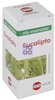 Eucalipto Olio Essenziale 20 Ml