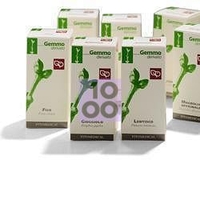 FAGGIO MACERATO GLICERICO 200 ML