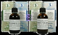 Fagus Sylvatica 100 Ml Macerato Glicerico