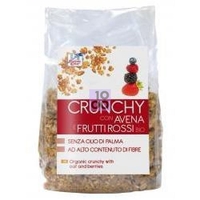 Fsc Crunchy Con Avena E Frutti Rossi Bio Ad Alto Contenuto Di Fibre Con Olio Di Girasole Senza Olio Di Palma 375 G