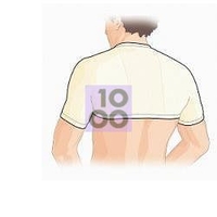 GIBAUD COPRISP ANAT 4