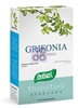 GRIFONIA 40 CAPSULE