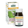 Gymnema Estratto Titolato 60 Pastiglie