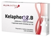 KELAPHER 2B 5 APPLICATORI STERILI MONODOSE DA 5 ML TERAPIA TOPICA