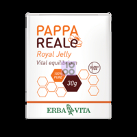 Pappa Reale Fresca 30 G