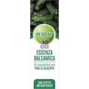 Pumilio Essenza Balsamica Con Effetto Antibatterico 10 Ml