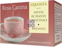 Rosa Canina Bustine Filtro