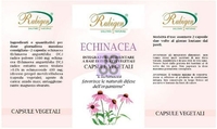 Rubigen Echinacea 60 Capsule