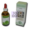 RUGIADA ASTRUM FUCUS 50 ML