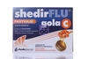 SHEDIRFLU GOLA C 24 PASTIGLIE