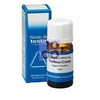 Verbena Grasse Olio Essenziale 10 Ml